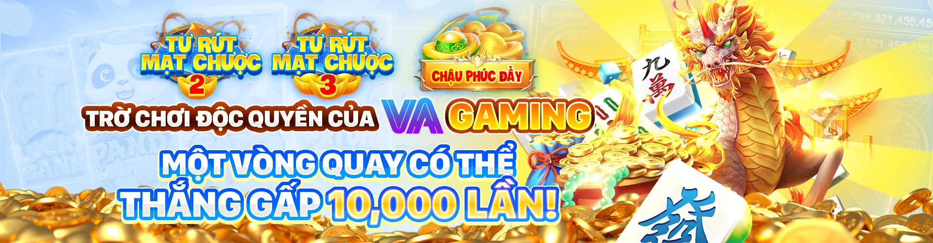 Hình ảnh tổng quan về Điều khoản dịch vụ A88