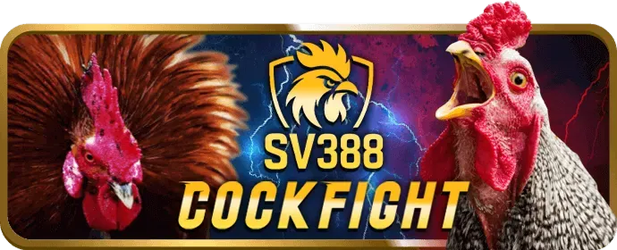 Người chơi tham gia sòng bạc trực tuyến a88